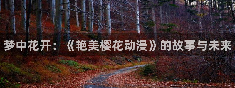 拷贝漫画 copymanager.ory网站