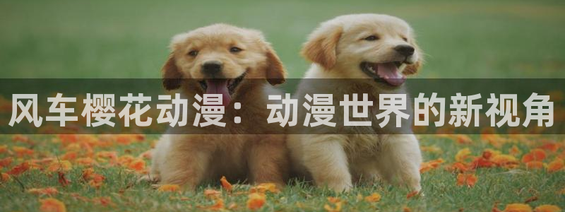 yy漫画网下载