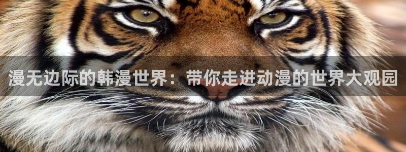 yy漫画官网网址