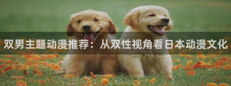 kakaopage韩漫官网：双男主题动漫推荐：从双性视角看日本动漫文化