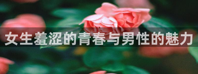 kakaopage韩漫官网：女生羞涩的青春与男性的魅力
